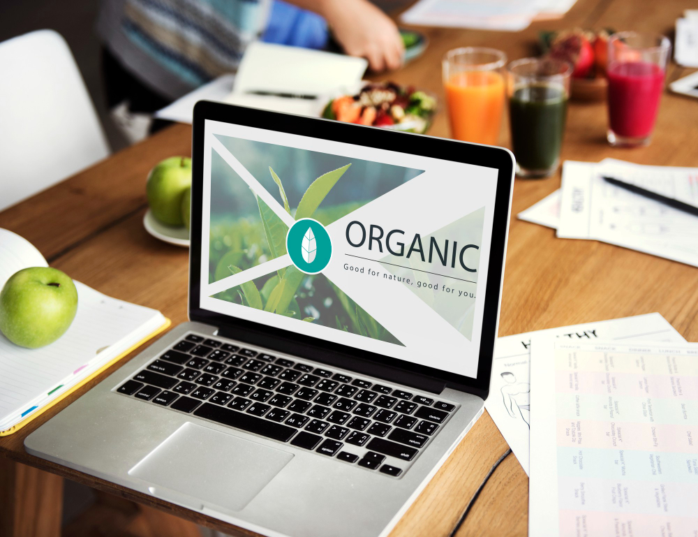 Strategi SEO Organik